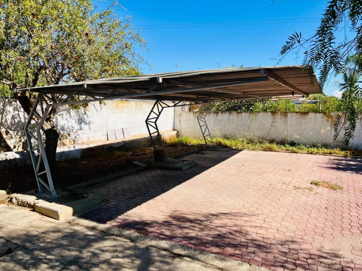 Estudio Adosado Acogedor Con Jardin, Barbacoa Y Parking Privado Alicante Luaran gambar