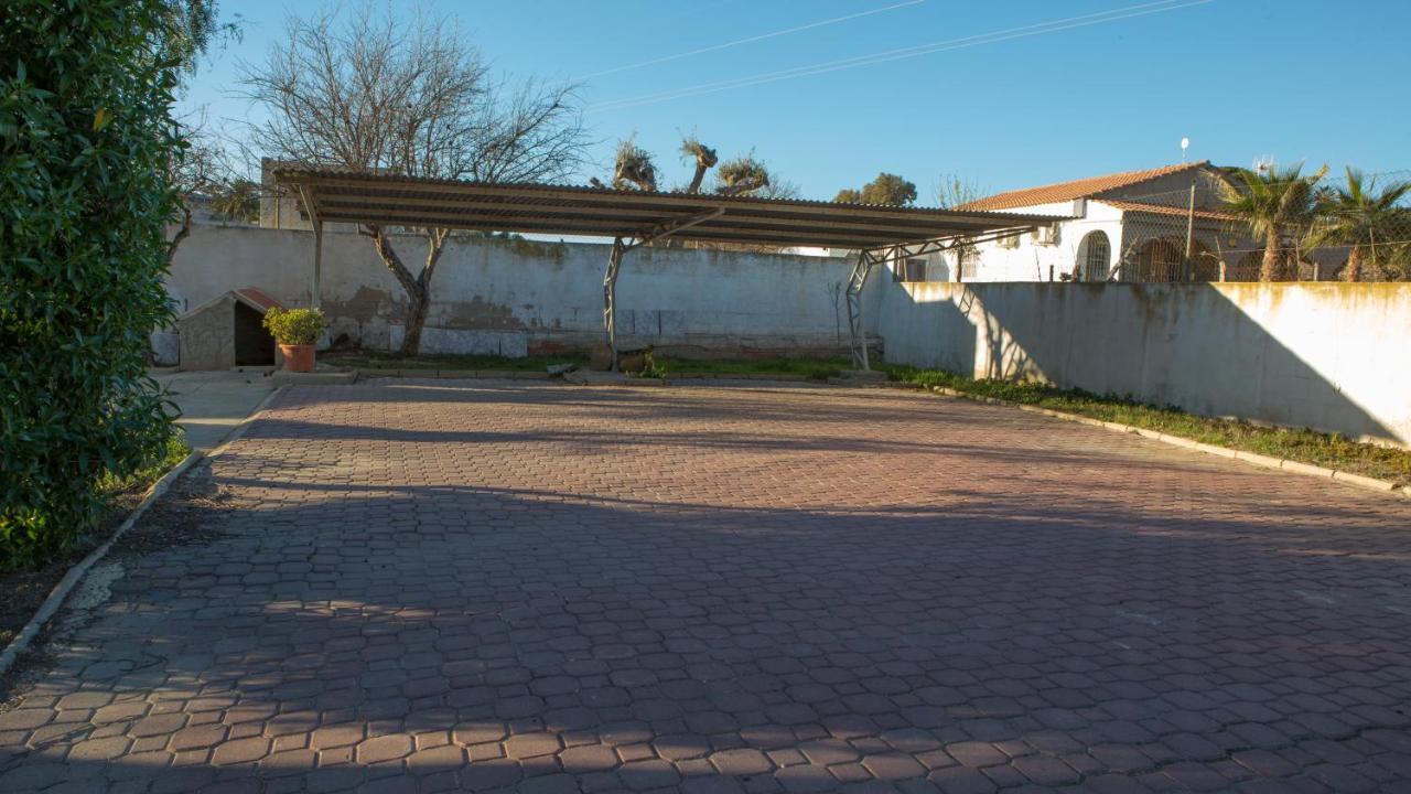 Estudio Adosado Acogedor Con Jardin, Barbacoa Y Parking Privado Alicante Luaran gambar