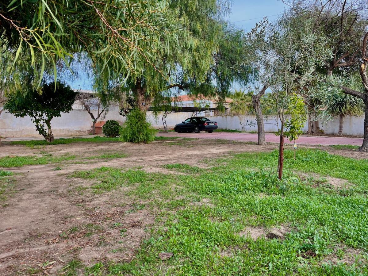 Estudio Adosado Acogedor Con Jardin, Barbacoa Y Parking Privado Alicante Luaran gambar